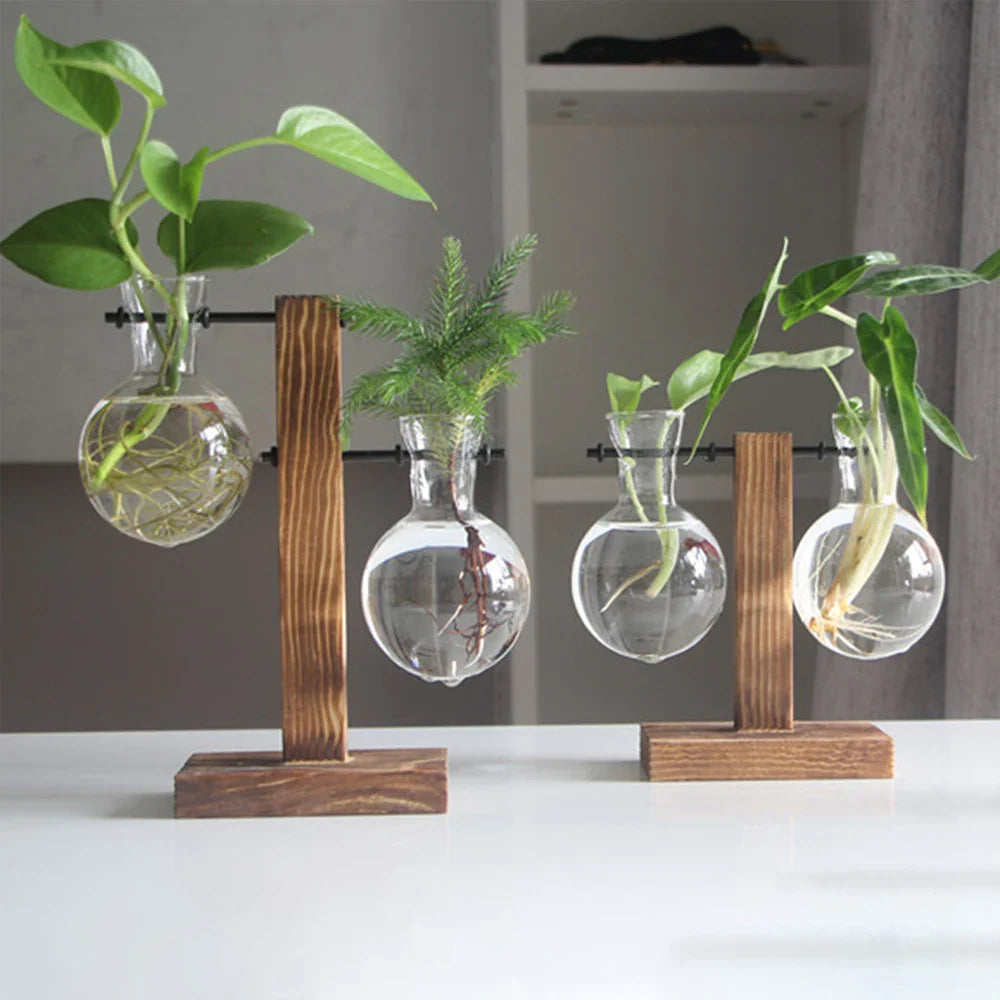 Glazen Vaas op Houten Standaard Decoratief Retro Hydroponics Plantenpot Transparant Glas Sfeeraccent voor Bloemen en Stekjes | Sansoti