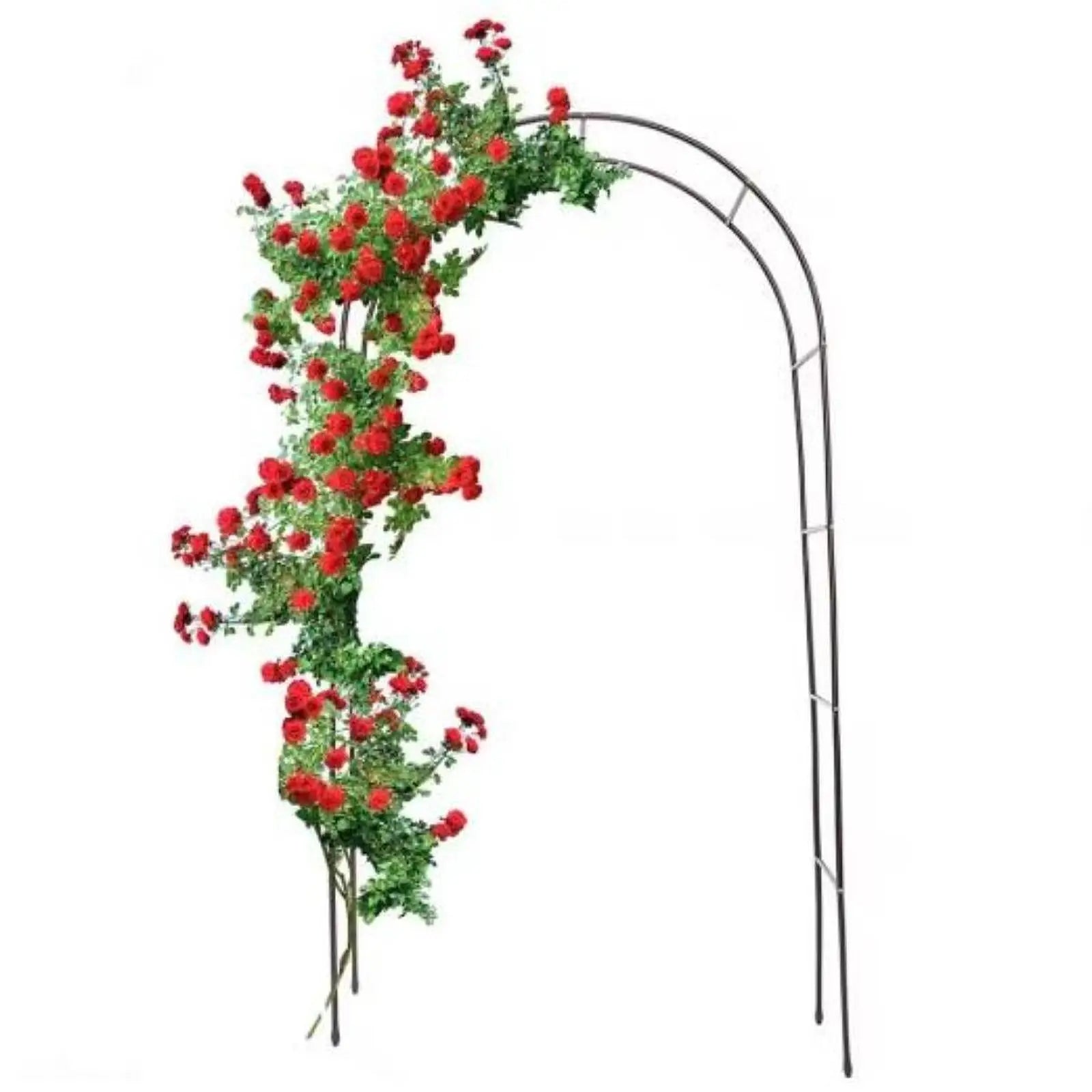 Arche de Jardin Métallique 240x140cm Fer Plantes Grimpantes Roses Arche Mariage Jardin Pergola DIY Arche de Roses Vigne Décoration Extérieure | Restfield
