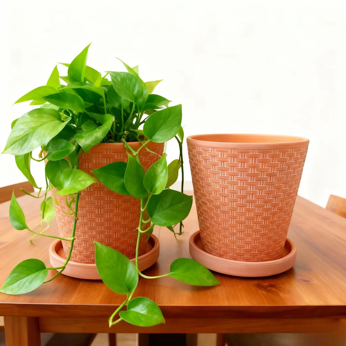 5'' reliëf terracotta potten set met schotel - 2-pack, tuinbloem succulente potten met lade voor binnen buiten doe-het-zelf