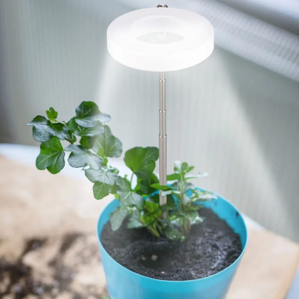 Adjustable Full-Spectrum LED Grow Light with Gooseneck for Indoor Houseplants 20-65cm Plant Light | Sansoti