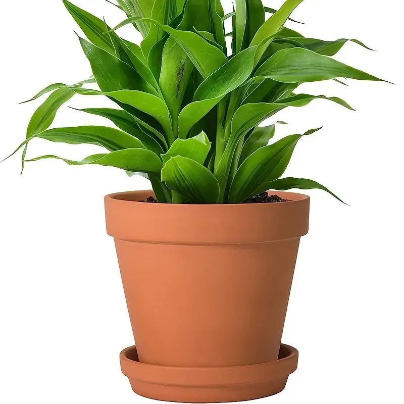 Lot de 4 pots de fleurs en terre cuite de 10 cm avec soucoupe et trou de drainage, poterie décorative pour l’intérieur et l’extérieur | Sansoti