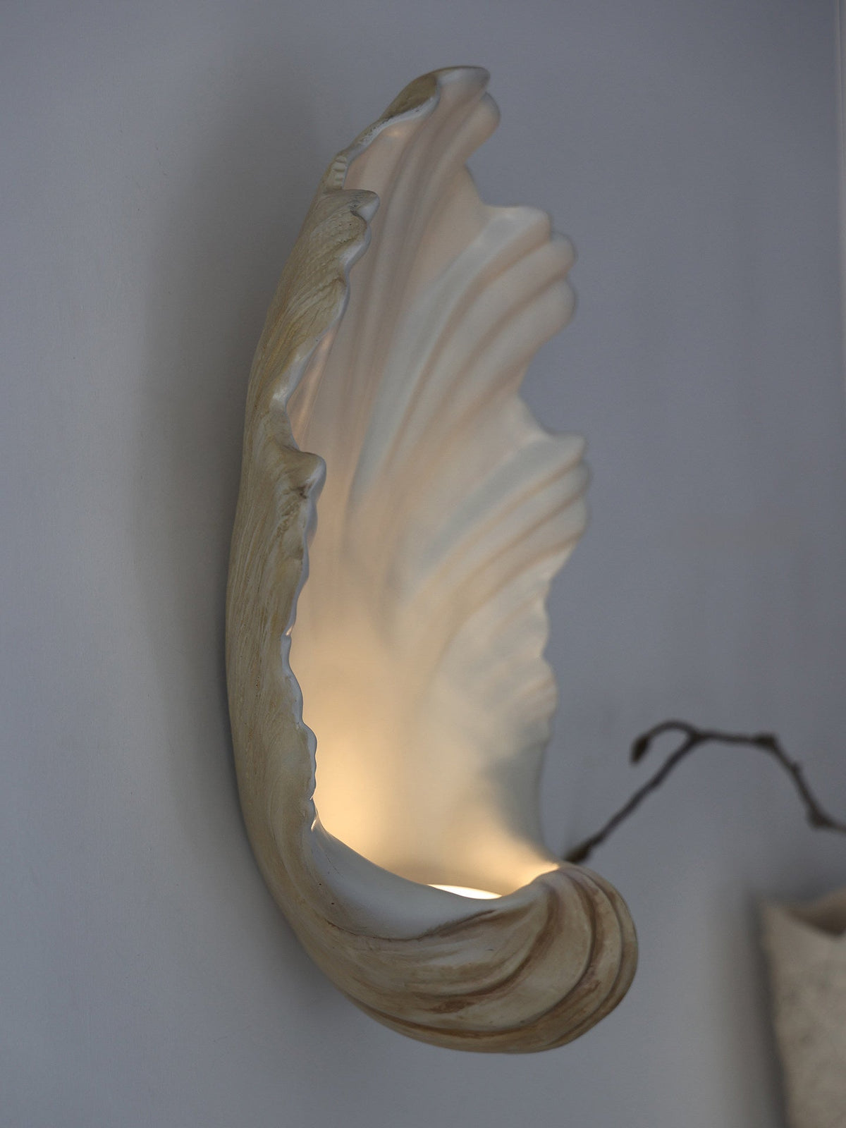 Wall Lamp Shell Cream White Natural Wood E12 Socket Organic Shapes Living Room Bedroom Hallway 42×19×52cm | Sansoti