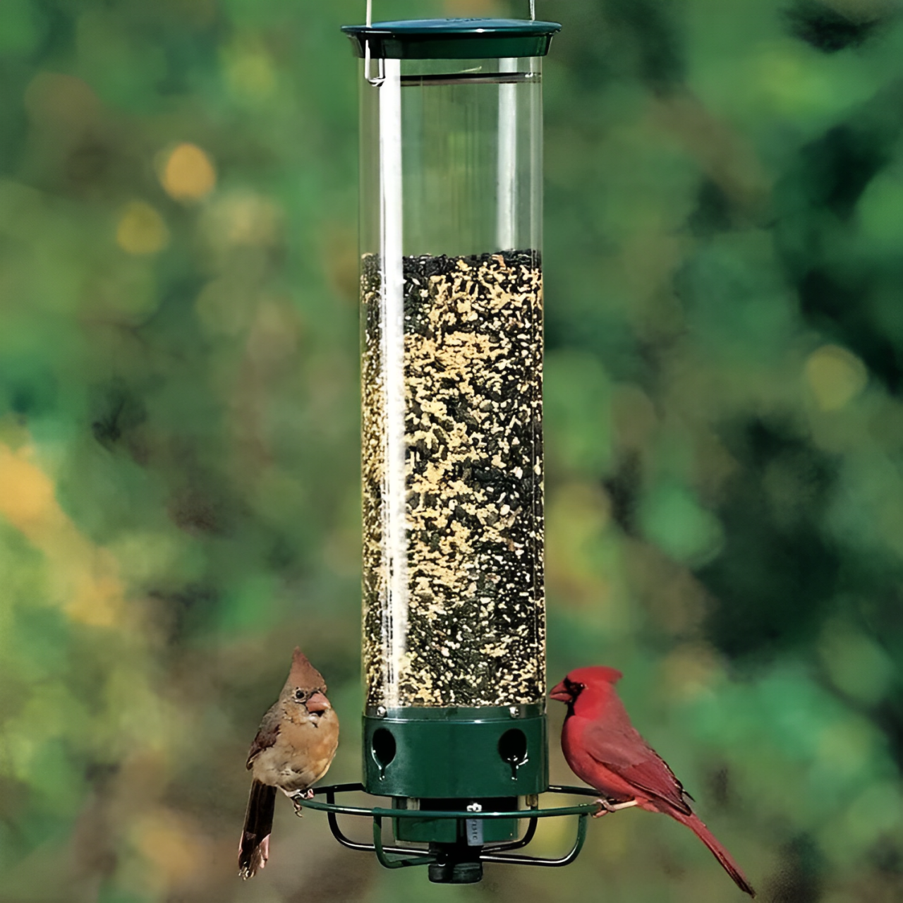 Eekhoornbestendige Vogelvoederhuisje met Geactiveerd Perch-Systeem voor Vogels | Duurzaam Metaal Vogelstation met Grote Zaadcapaciteit | Sansoti