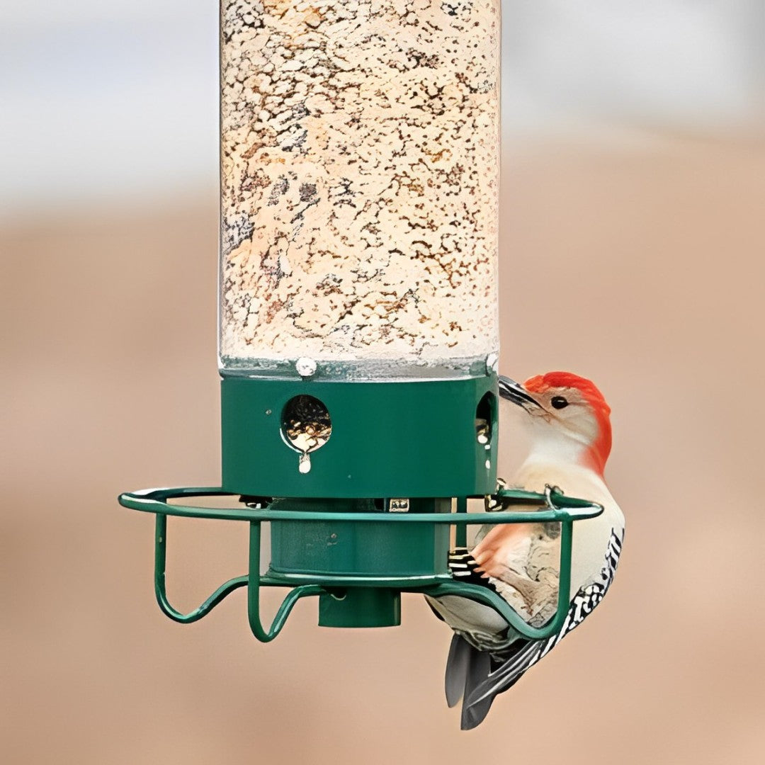 Eekhoornbestendige Vogelvoederhuisje met Geactiveerd Perch-Systeem voor Vogels | Duurzaam Metaal Vogelstation met Grote Zaadcapaciteit | Sansoti