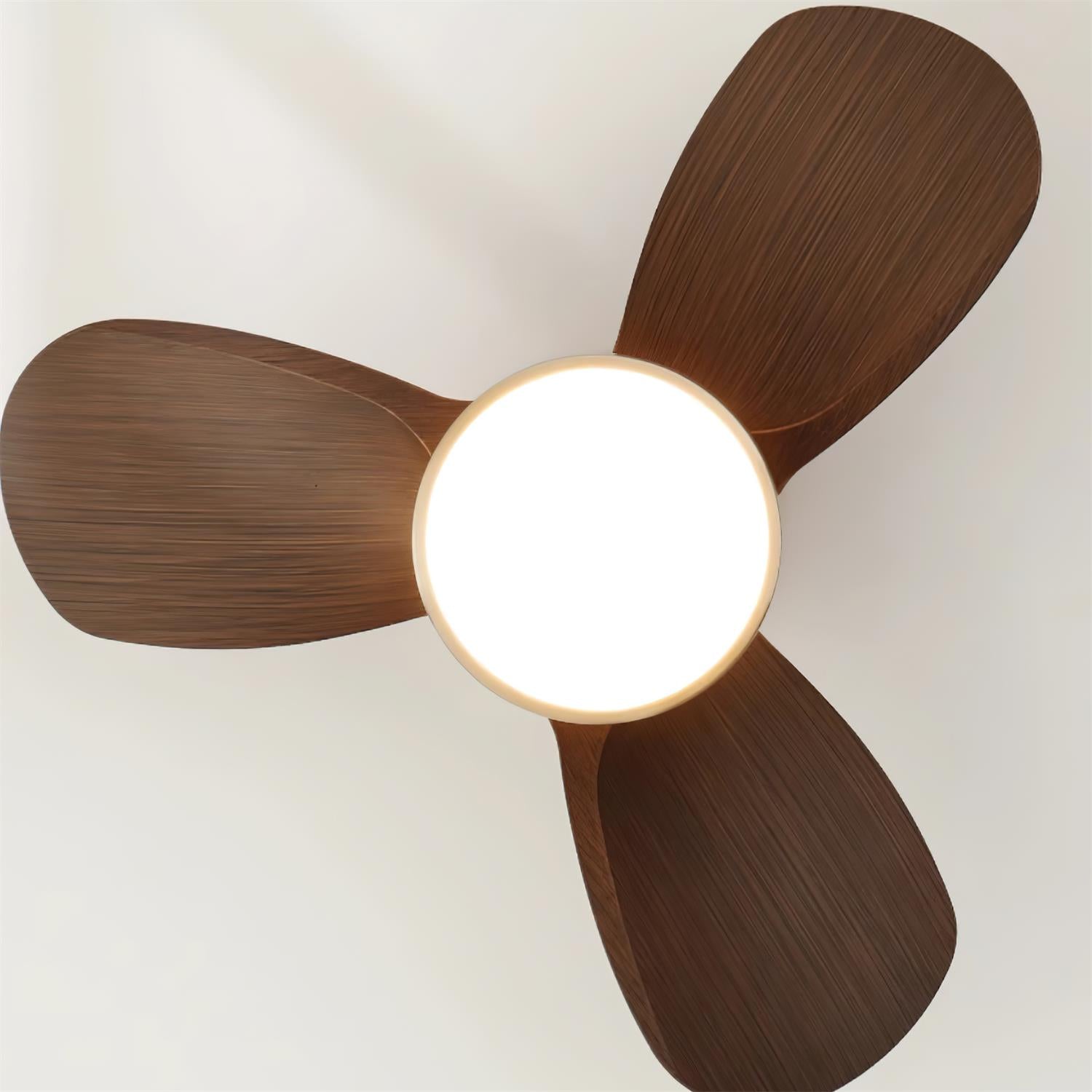 Plafondventilator met Verlichting Hout Metaal Ø61cm 18W 6 Snelheden Inclusief Afstandsbediening | Sansoti