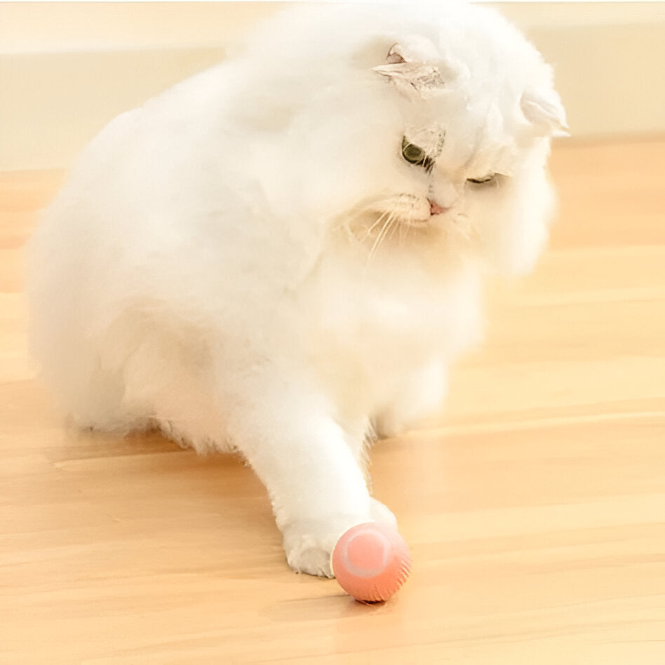 Interaktives Katzenspielzeug mit intelligentem Sensor, Federaufsatz, automatischem Rollball, 2 Modi, leise, per USB aufladbar | Sansoti