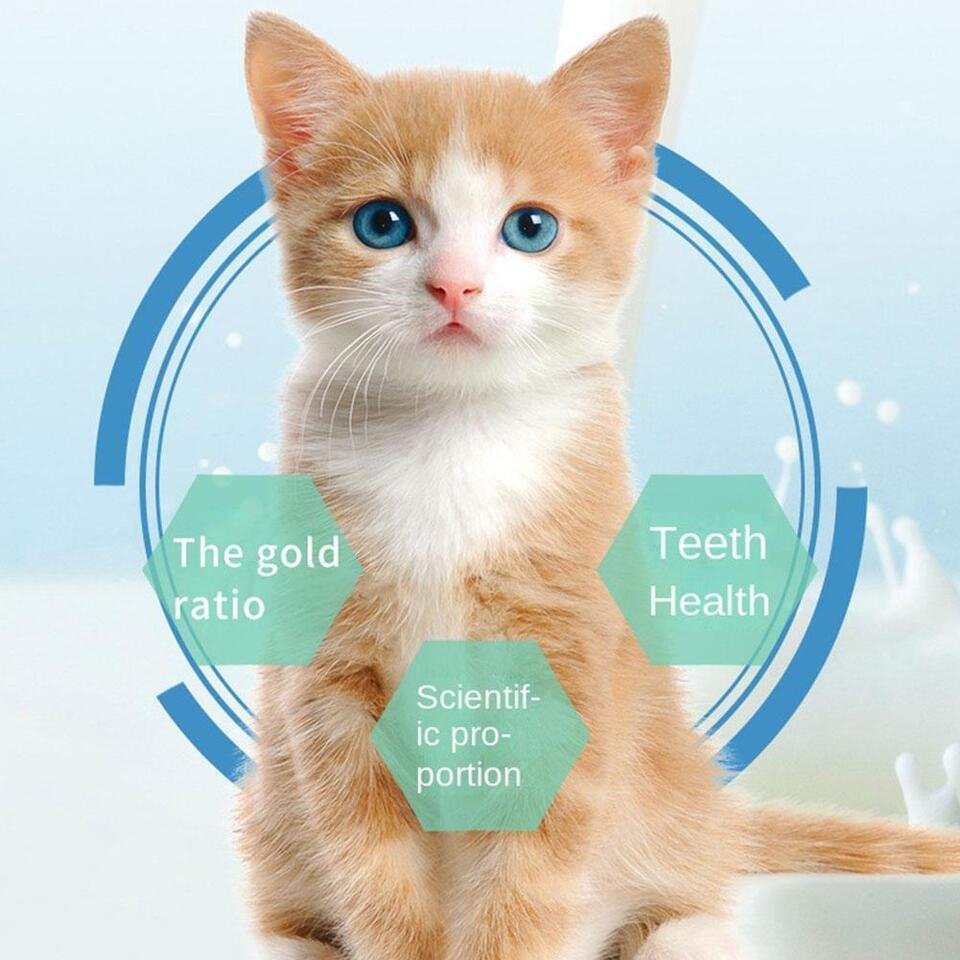 Natuurlijk Kattengras Kauwstick voor Gebit & Spijsvertering 6 Stuks Katten Speelgoed Tandverzorging Snack | Sansoti