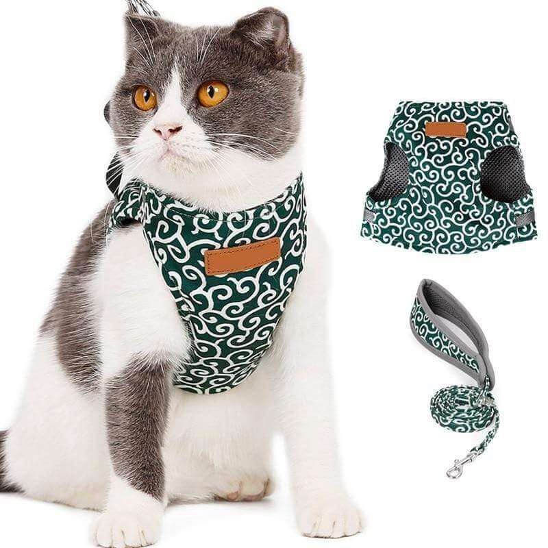 Katzengeschirr-Set mit Leine Verstellbares Netzgeschirr zum Spazierengehen im Freien XS S Polyester Komfortabel Sicher | Sansoti