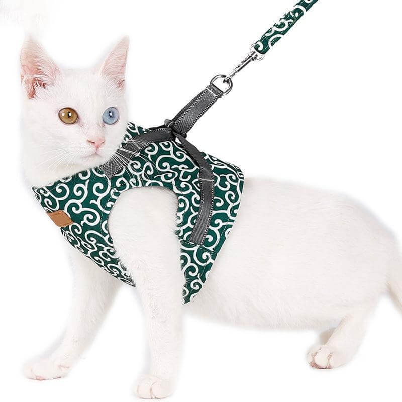 Katzengeschirr-Set mit Leine Verstellbares Netzgeschirr zum Spazierengehen im Freien XS S Polyester Komfortabel Sicher | Sansoti