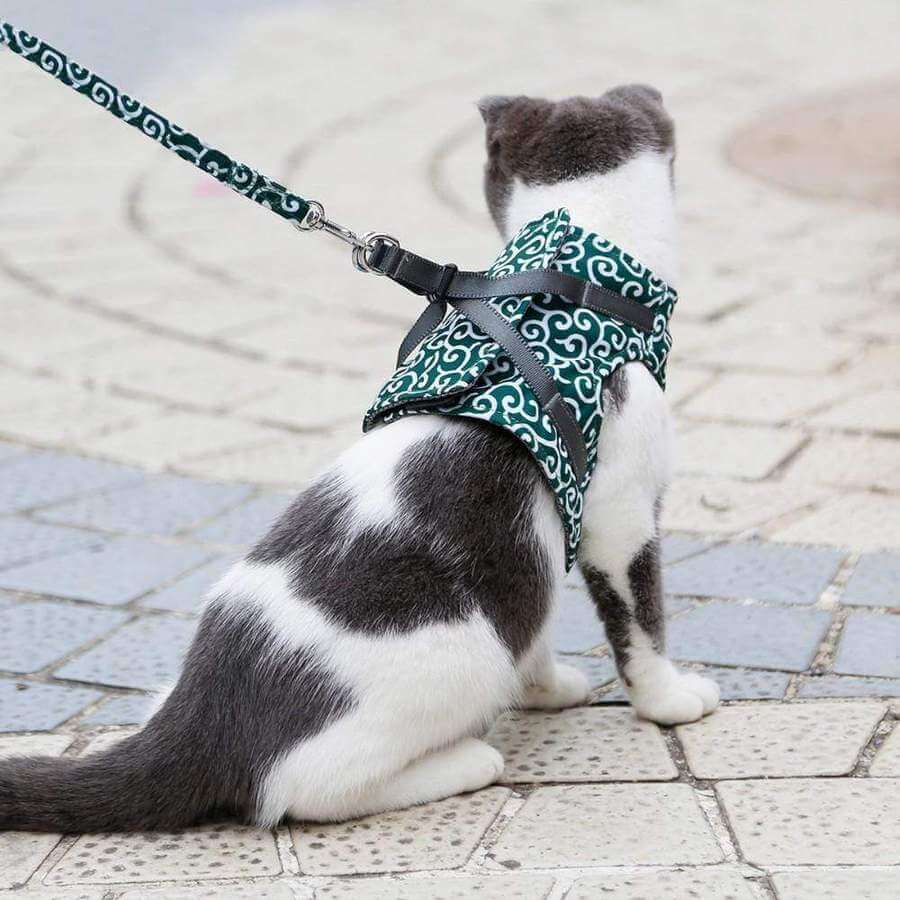 Katzengeschirr-Set mit Leine Verstellbares Netzgeschirr zum Spazierengehen im Freien XS S Polyester Komfortabel Sicher | Sansoti
