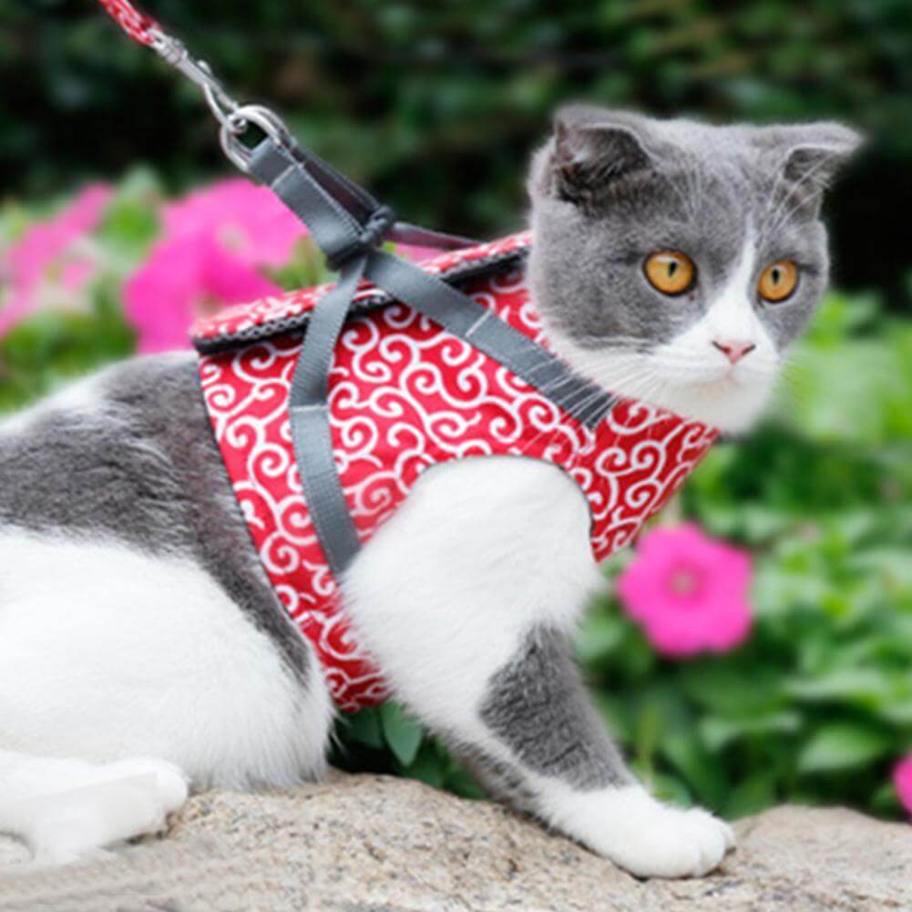 Katzengeschirr-Set mit Leine Verstellbares Netzgeschirr zum Spazierengehen im Freien XS S Polyester Komfortabel Sicher | Sansoti
