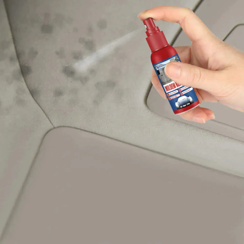 Schimmelverwijderaar Spray voor Auto 2 Stuks – Geschikt voor Leer, Stof en Kunststof Interieur | Sansoti