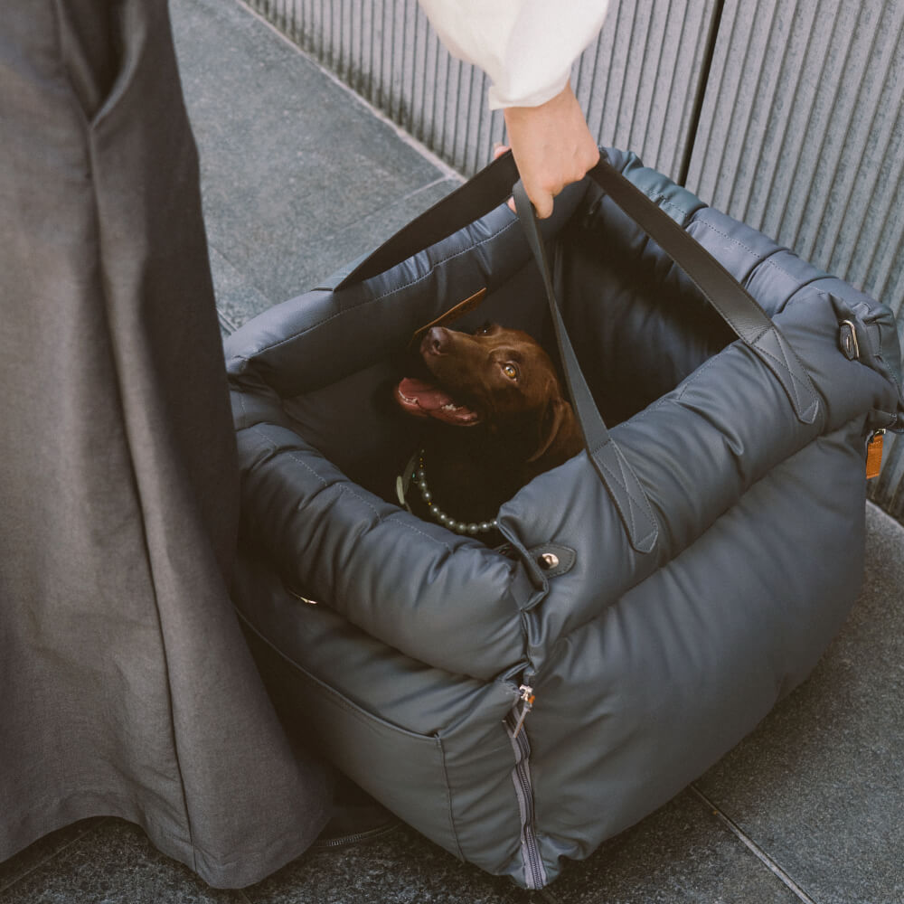 Autositz für Hunde mit Sicherheitsgurt und Plüschbezug für kleine bis mittelgroße Hunde, zum Reisen | Sansoti