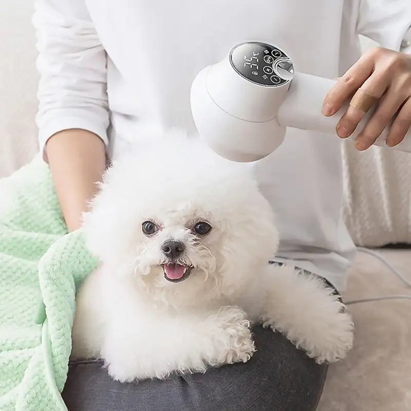 Slimme Huisdierfohn met Borstel 2-in-1 Ionische Droger Temperatuurregeling Stil 55dB voor Honden Katten Vacht | Sansoti