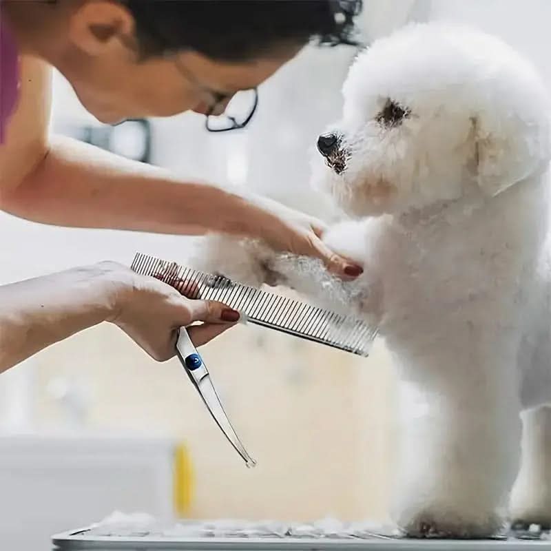 Edelstahl-Trimmenschere für Hunde und Katzen mit Abgerundeten Sicherheitsspitzen und Kamm Professionelle Fellpflege | Sansoti