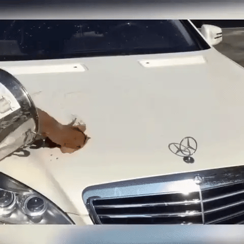 Ceramic Car Paint Protection Spray – Glossy Nanocoating for Paint, UV & Water Repellency | Sansoti