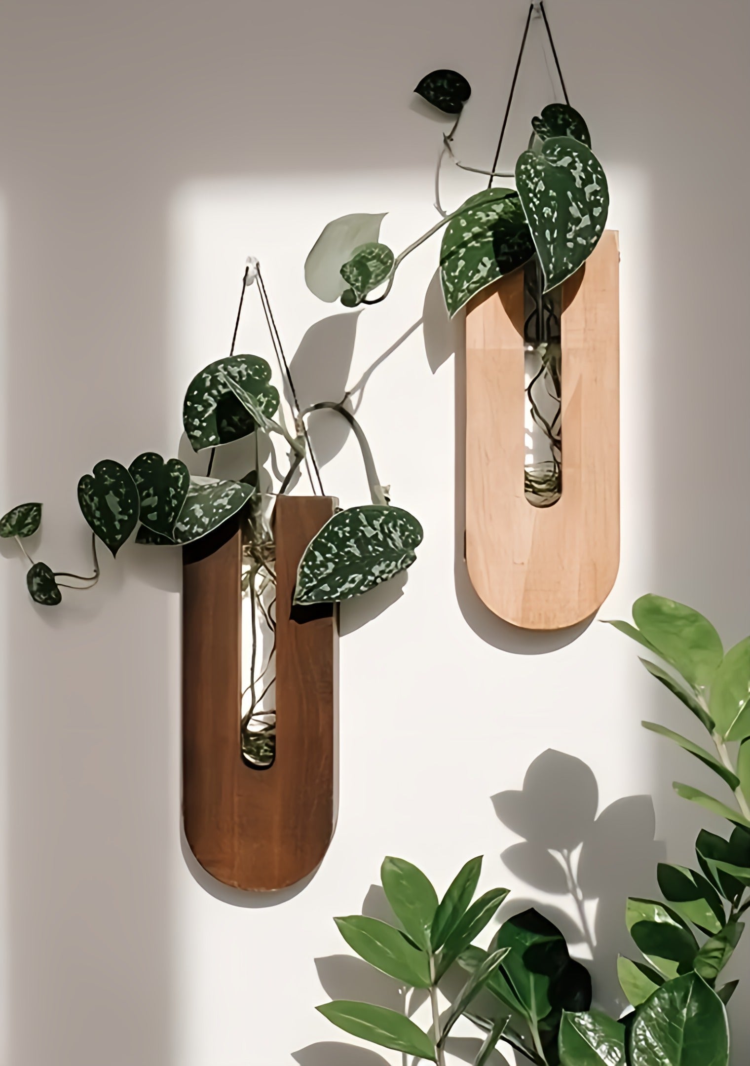 Wandblumenhalter aus Holz, 7-teiliges Set, Kiefernholz, vertikaler Pflanzenhalter | Restfield