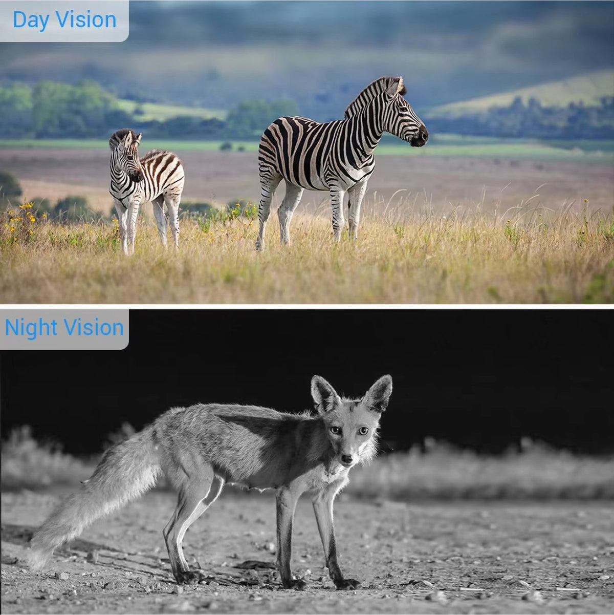 Wildlife Camera with WiFi and Motion Detection for Nature Photography, Garden Surveillance and Wildlife Observation 20MP 1080P HD | Sansoti