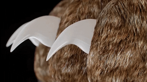 Nagelknipper voor Honden met Geïntegreerde Sensorbeveiliging | Premium RVS Nageltrimmer met Ergonomisch Handvat | Pijnloos Klauwverzorging voor Grote en Kleine Honden | Veilige Nagelschaar Huisdieren | Sansoti