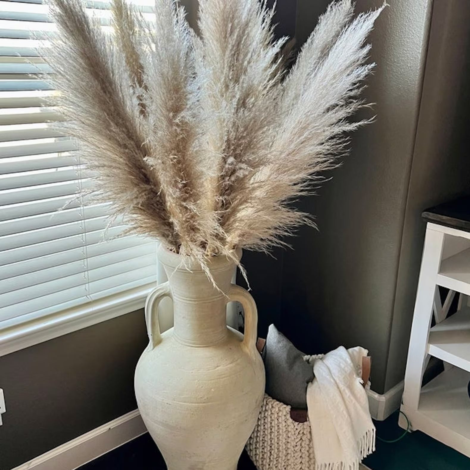 Gedroogde Pampas Pluimen 10 Stuks Natuurlijk Gras Decoratieve Droogbloemen voor Woonkamer Slaapkamer | Sansoti