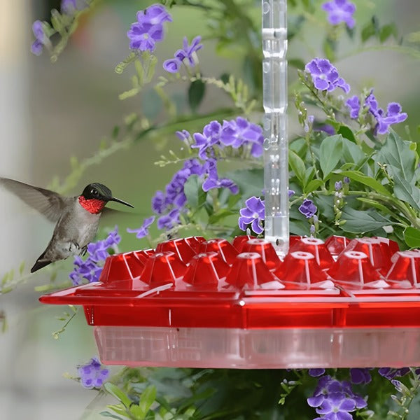 Kolibrifutterspender mit integriertem Ameisengraben, 30 Trinköffnungen, transparenter hängender Futterspender für Garten und Balkon | Sansoti