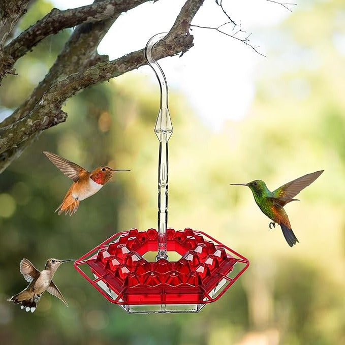 Kolibrifutterspender für draußen mit Ameisenabwehr, 30 Futteröffnungen, hängende Vogelfütterung, Gartendekoration | Sansoti