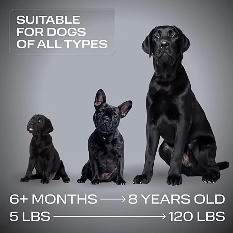 Ultrasoon Trainingsapparaat voor Honden Oplaadbaar | Compact en Draagbaar voor Dagelijks Gebruik Onderweg | Handsfree Hondentraining met Onhoorbare Hoogfrequente Signalen | USB Oplaadbaar | Sansoti