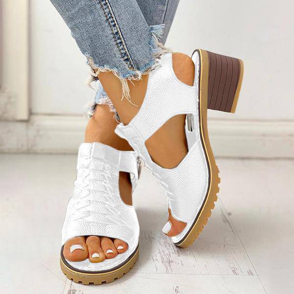 Dames Sandalen met Open Teen en Blokhak – Ritssluiting Plateau Zomerschoenen voor Feesten en Uitgaan | Sansoti
