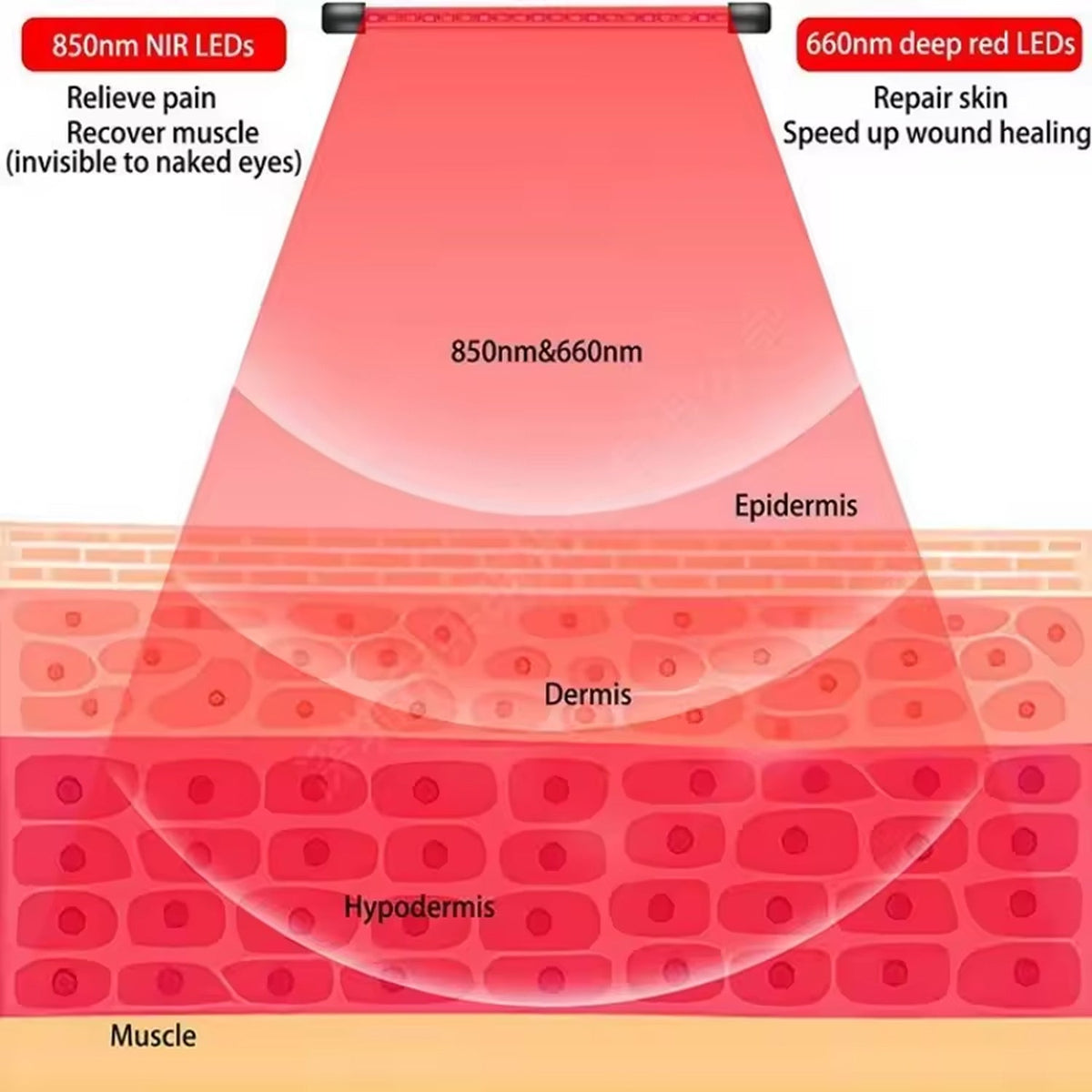 Verstelbare Infrarood Therapielamp 660nm 850nm Dubbele Golflengte Lichttherapie voor Huidverzorging Thuis | Sansoti