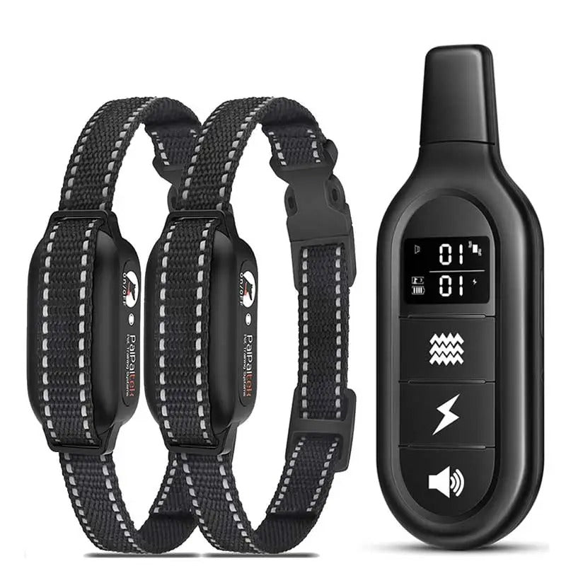 Collier de dressage électronique pour chien étanche, portée de 1000m, rechargeable par USB avec télécommande | Sansoti