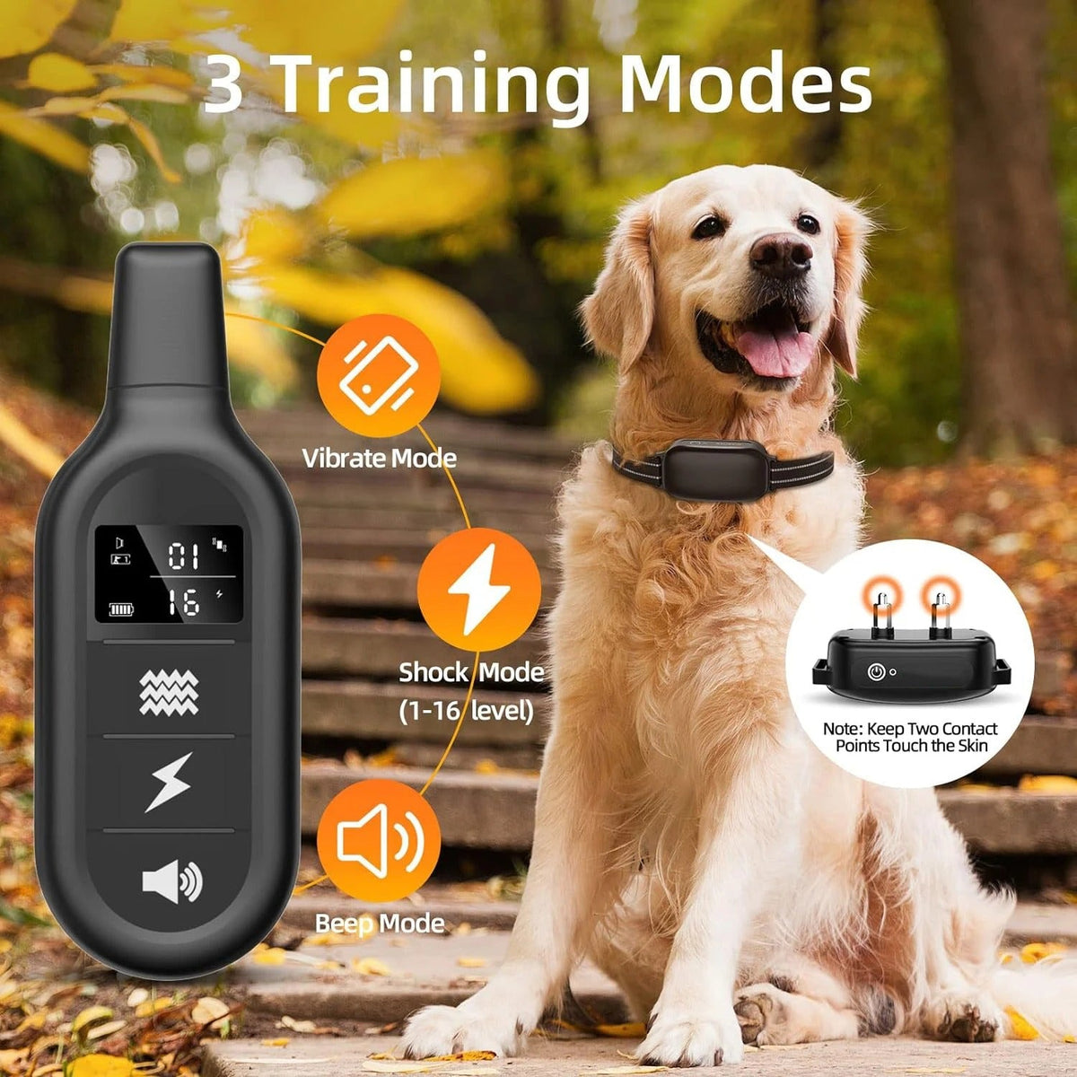 Collier de dressage électronique pour chien étanche, portée de 1000m, rechargeable par USB avec télécommande | Sansoti