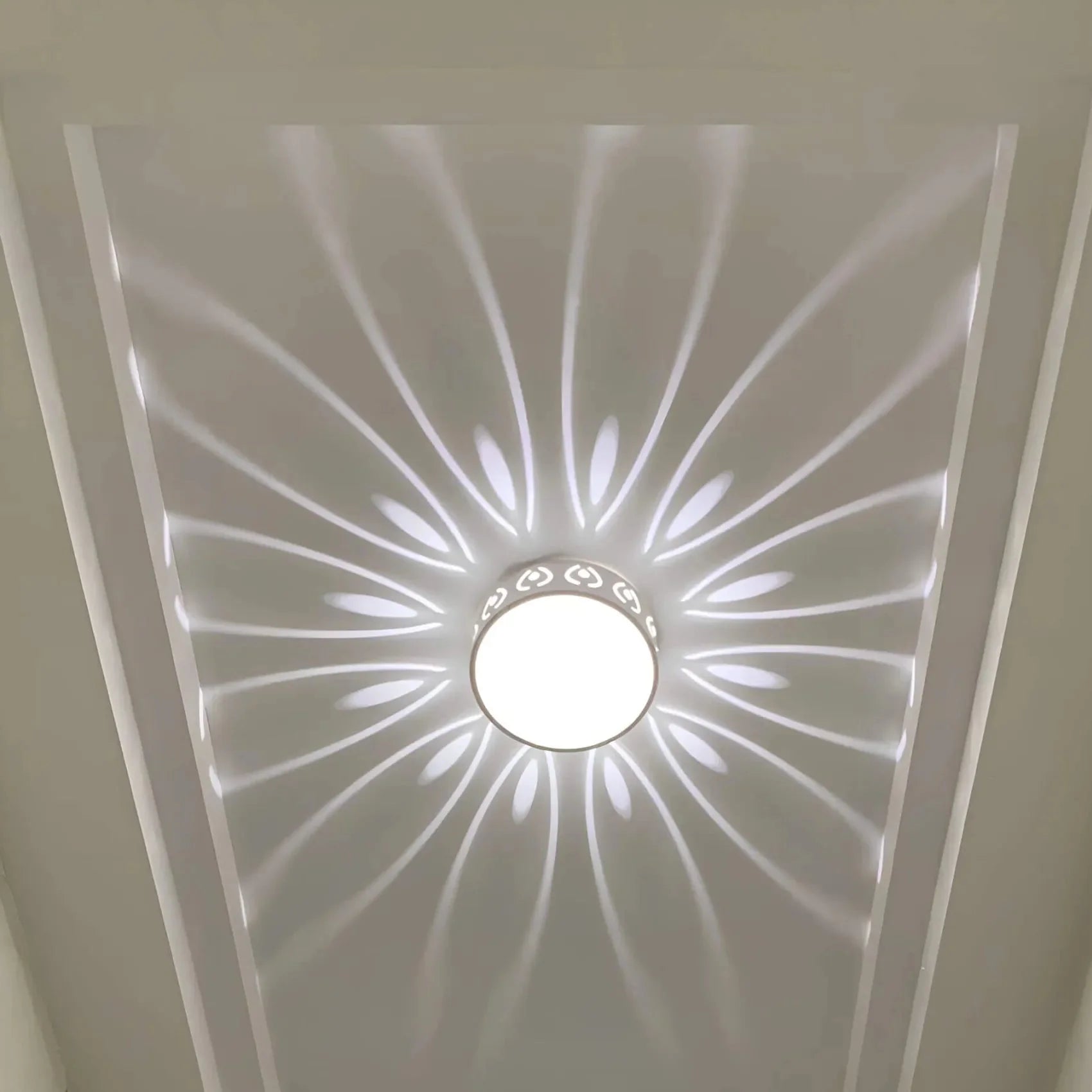 LED Plafondlamp Kristal Acryl Warm Wit Koud Wit Gang Hal Balkon Decoratief Stralend Lichtpatroon Opbouw Plafonnière | Sansoti