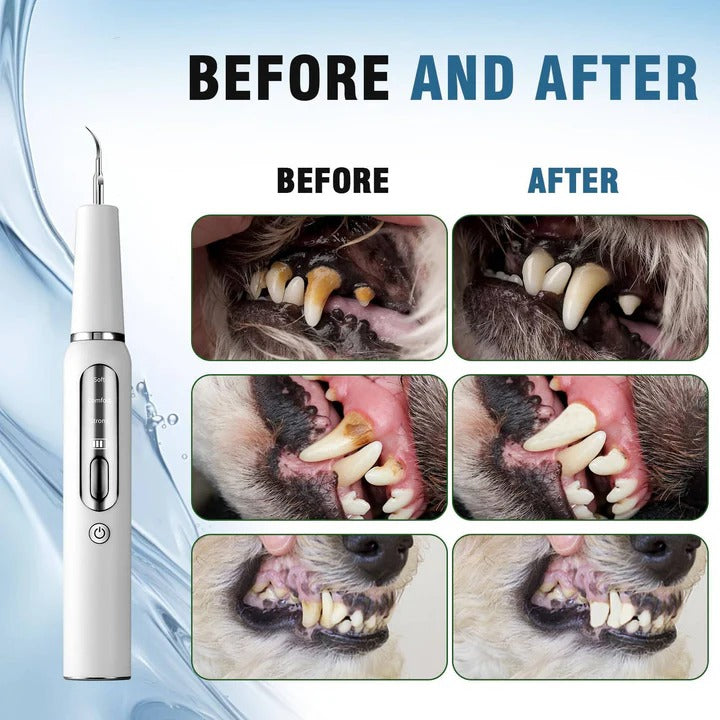 Ultrasonic Pet Teeth Cleaner with LED Light Gentle Vibrations Effective Tartar Removal | Sansoti