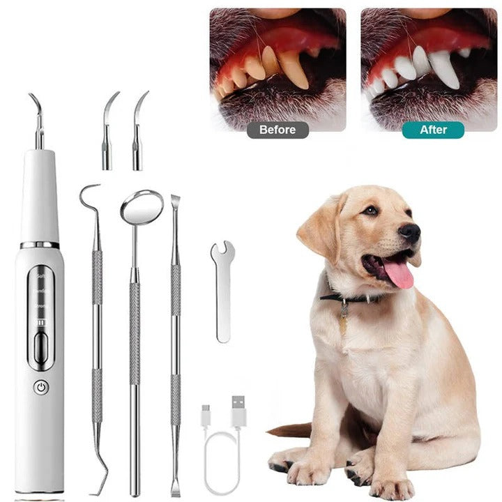 Ultrasonic Pet Teeth Cleaner with LED Light Gentle Vibrations Effective Tartar Removal | Sansoti