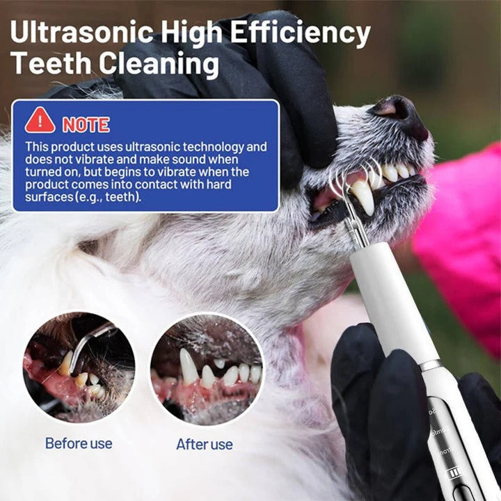 Ultrasonic Pet Teeth Cleaner with LED Light Gentle Vibrations Effective Tartar Removal | Sansoti