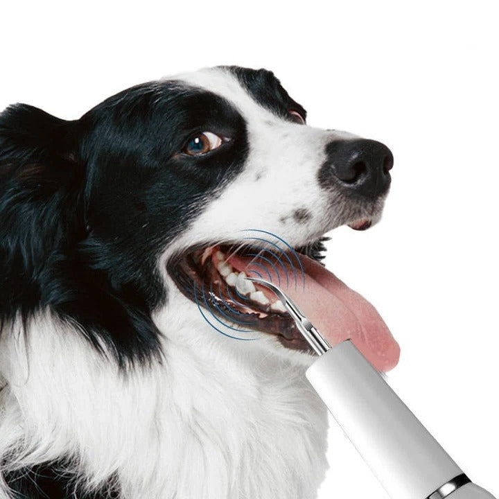 Ultrasonic Pet Teeth Cleaner with LED Light Gentle Vibrations Effective Tartar Removal | Sansoti
