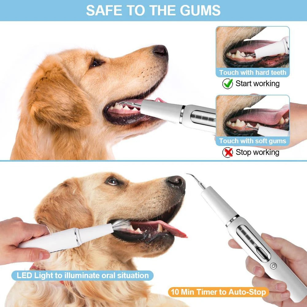 Ultrasonic Pet Teeth Cleaner with LED Light Gentle Vibrations Effective Tartar Removal | Sansoti
