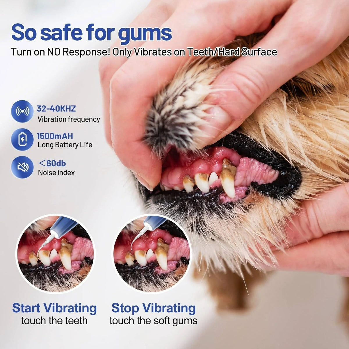 Ultrasonic Pet Teeth Cleaner with LED Light Gentle Vibrations Effective Tartar Removal | Sansoti