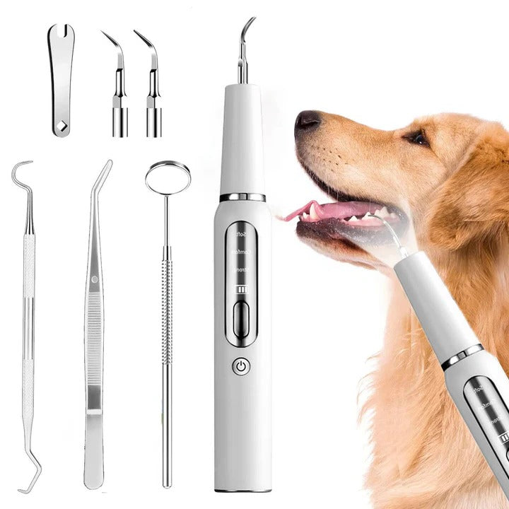 Ultrasonic Pet Teeth Cleaner with LED Light Gentle Vibrations Effective Tartar Removal | Sansoti