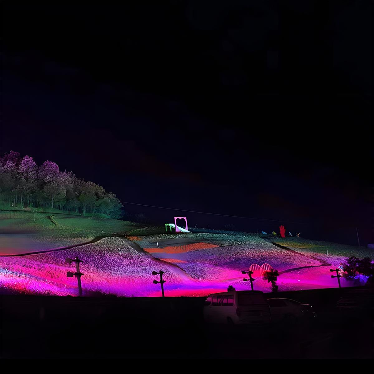 LED-Gartenstrahler RGB Wasserdicht IP65 Baumbeleuchtung Außenleuchte aus Aluminium Landschaftsbeleuchtung für Garten und Rasen | Sansoti