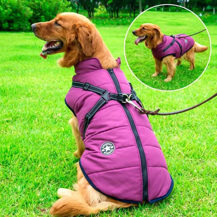 Gesteppte Hundejacke für den Winter Wasserdicht mit Fleecefutter Integriertes Geschirr Reflektierend Warmer Hundeschutz | Sansoti