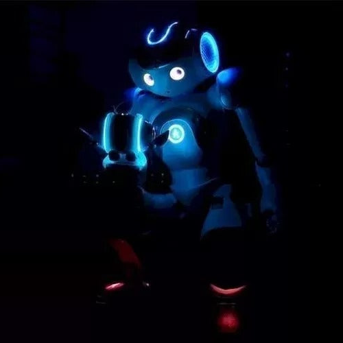 Interaktywny robot AI z 25 osiami ruchu, obsługujący 20 języków, z Wi-Fi i rozpoznawaniem mowy oraz kamerą HD Smart | Sansoti