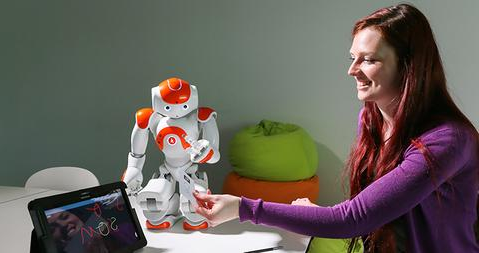 Interaktywny robot AI z 25 osiami ruchu, obsługujący 20 języków, z Wi-Fi i rozpoznawaniem mowy oraz kamerą HD Smart | Sansoti