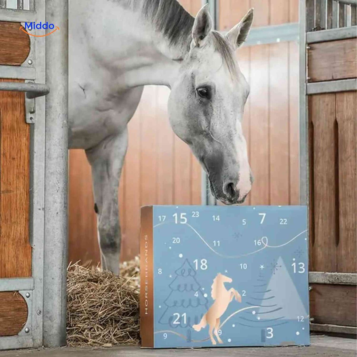 Calendrier de l’Avent 24 cases sur le thème des chevaux avec accessoires, compte à rebours de Noël, idée cadeau, surprise de décembre pour enfants | Sansoti