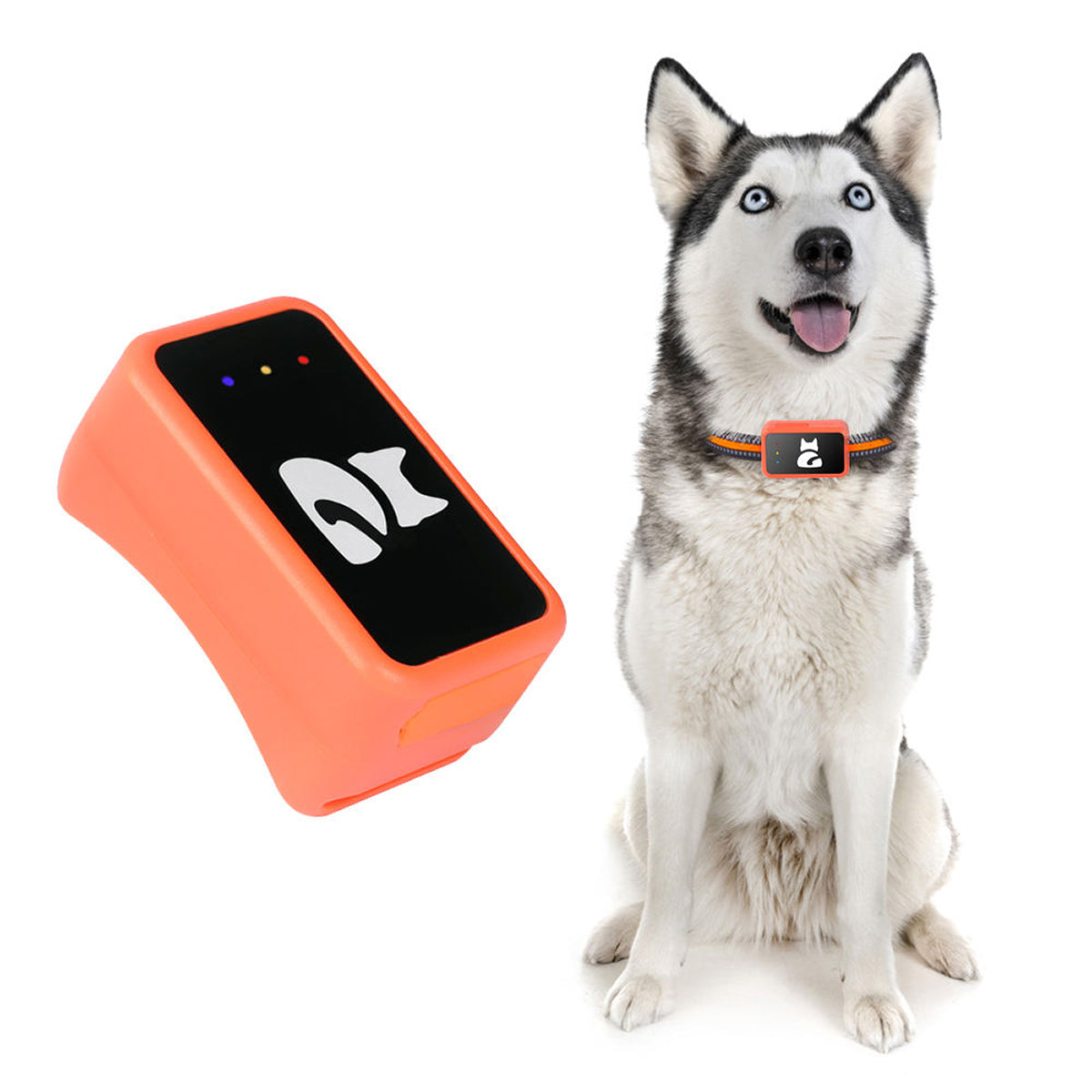 GPS Tracker for Cats and Small Dogs with Real-Time Location Tracking, Health Monitoring and Activity Tracking | Sansoti