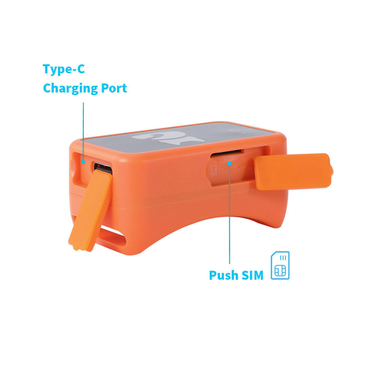 GPS Tracker for Cats and Small Dogs with Real-Time Location Tracking, Health Monitoring and Activity Tracking | Sansoti