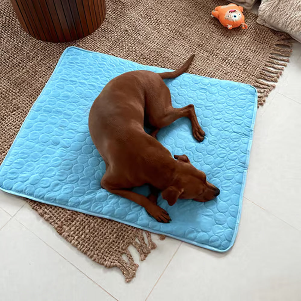 Self-Cooling Pet Mat with Temperature Regulation, No Power Required, Gel-Free, Washable, Comfortable for Dogs and Cats | Sansoti