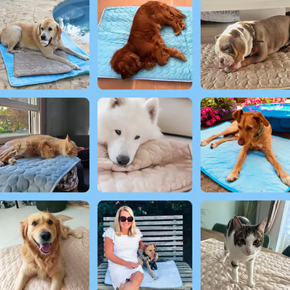 Self-Cooling Pet Mat with Temperature Regulation, No Power Required, Gel-Free, Washable, Comfortable for Dogs and Cats | Sansoti