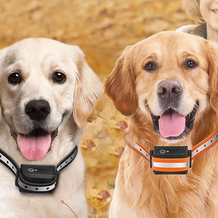 Trainingshalsband voor Honden met Afstandsbediening 1000m Bereik Oplaadbaar Waterdicht IP67 Verstelbaar 20-65cm Trillingen Geluid Stimulatie 9 Intensiteitsniveaus Geschikt 5-50kg | Sansoti