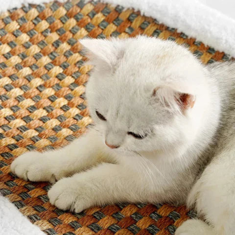 Krabbed voor Katten – Comfortabel Rustbed met Kraboppervlak | Sansoti